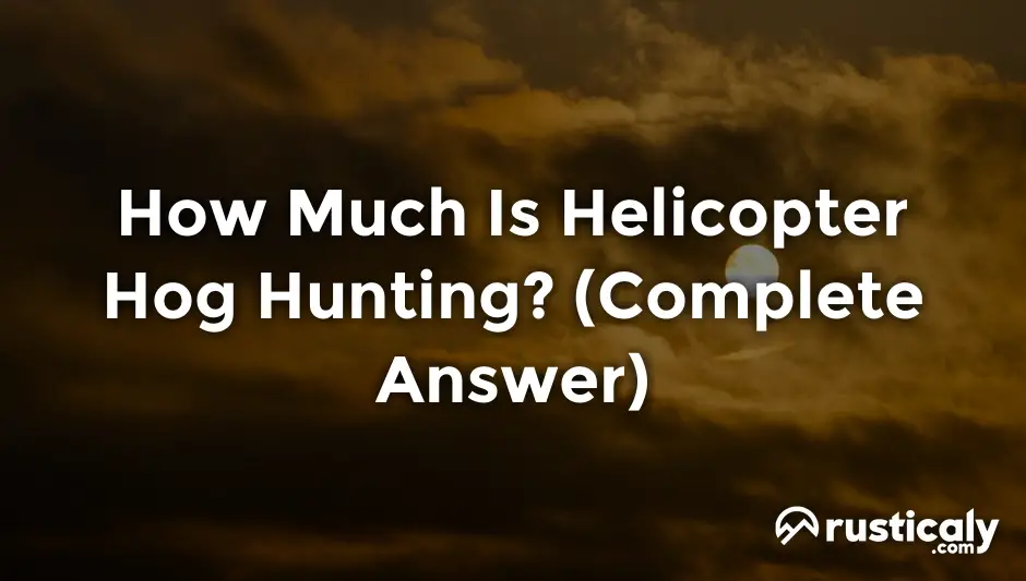 how much is helicopter hog hunting