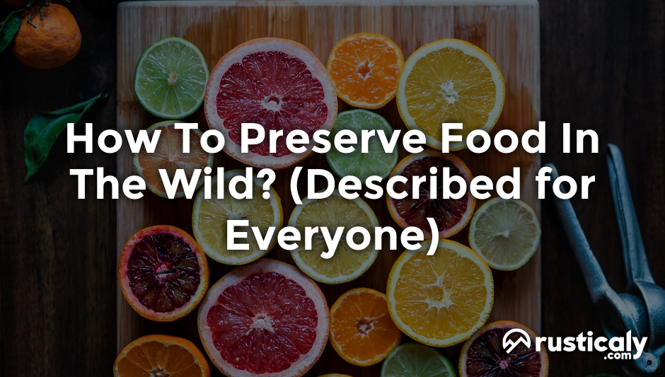 how to preserve food in the wild