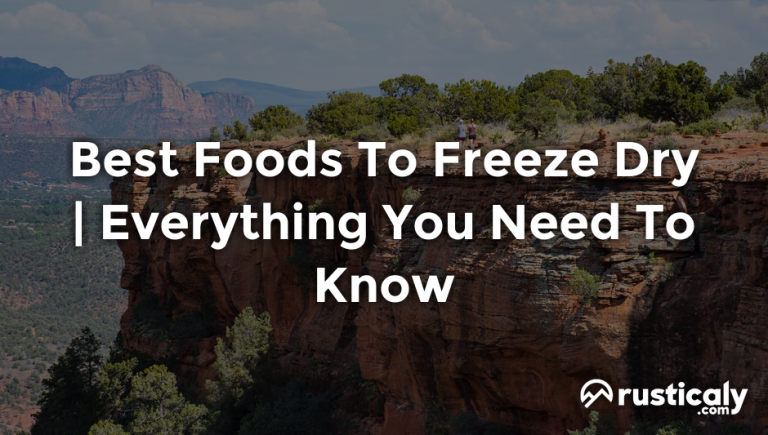 best foods to freeze dry