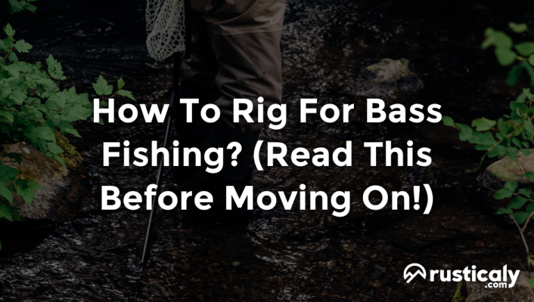 how to rig for bass fishing