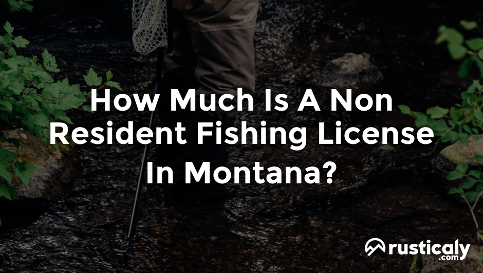 how much is a non resident fishing license in montana