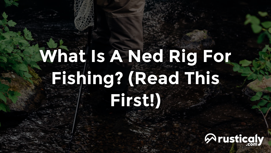 what is a ned rig for fishing
