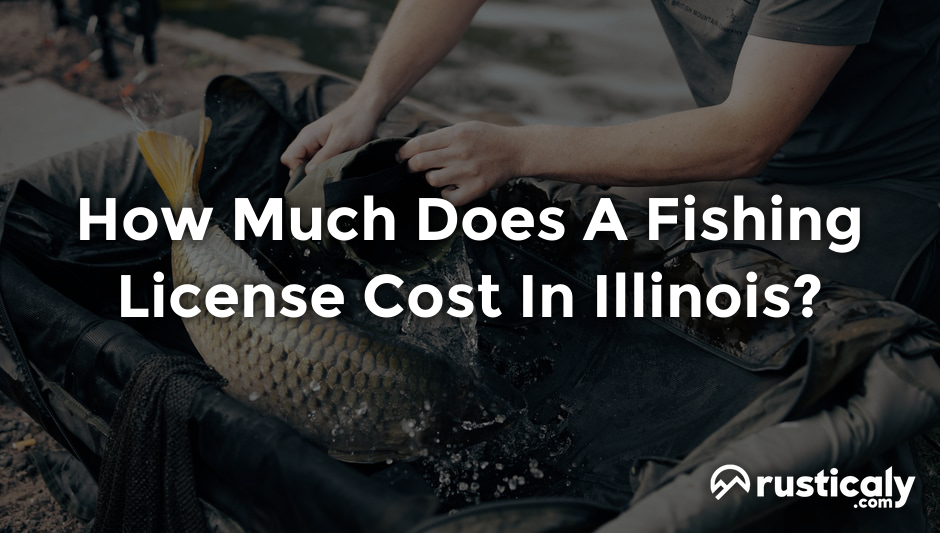 how much does a fishing license cost in illinois