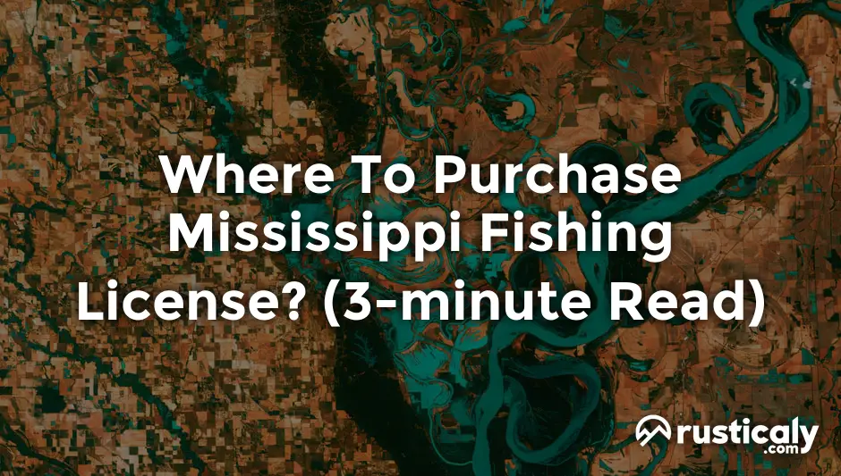 where to purchase mississippi fishing license