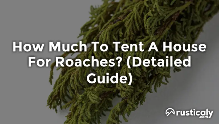 how much to tent a house for roaches