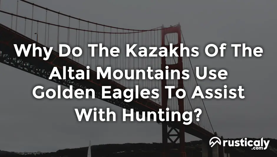 why do the kazakhs of the altai mountains use golden eagles to assist with hunting?