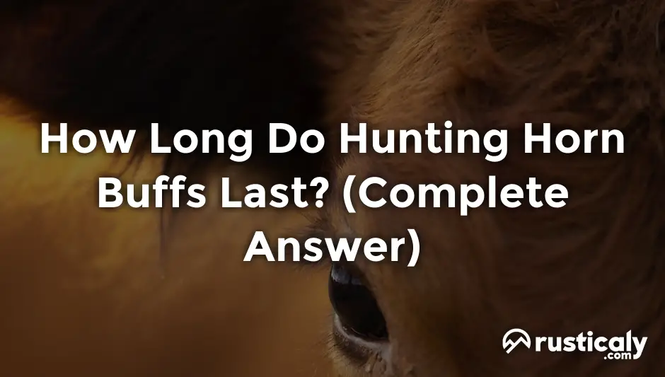 how long do hunting horn buffs last