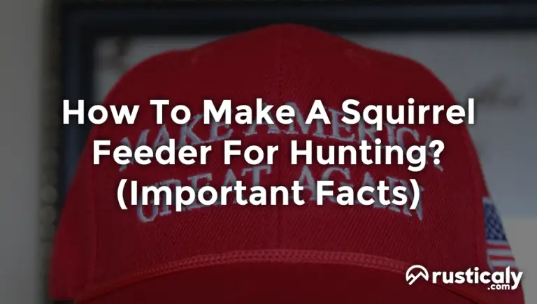 how to make a squirrel feeder for hunting