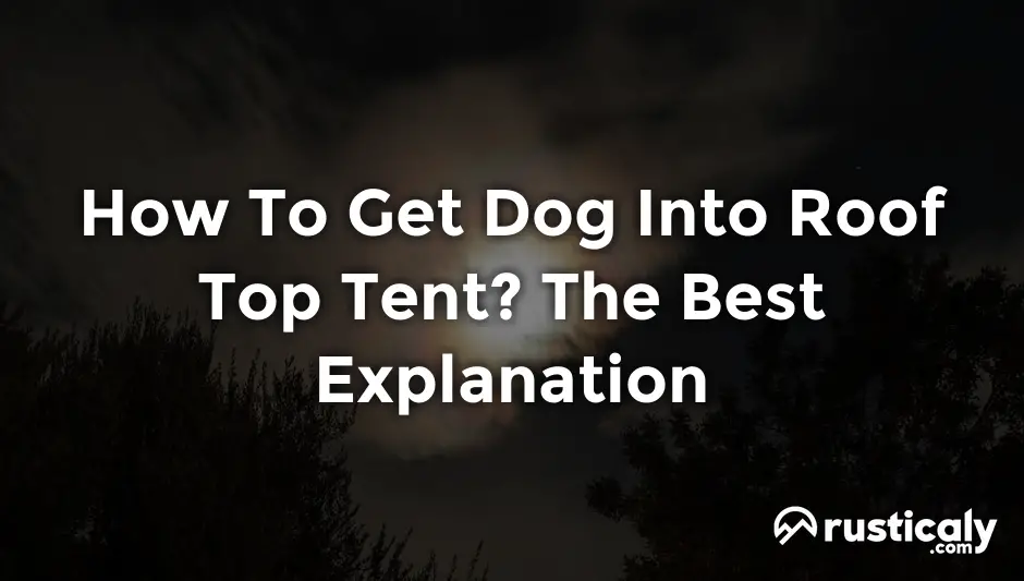 how to get dog into roof top tent