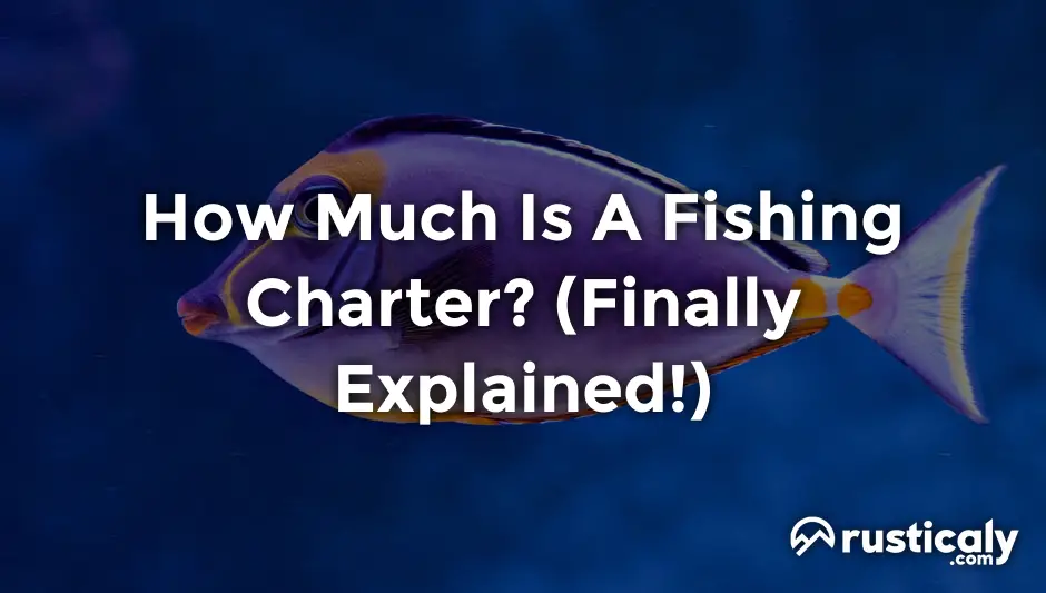 how much is a fishing charter