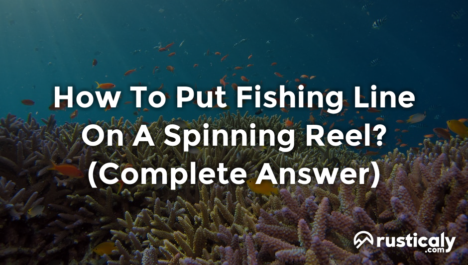 how to put fishing line on a spinning reel