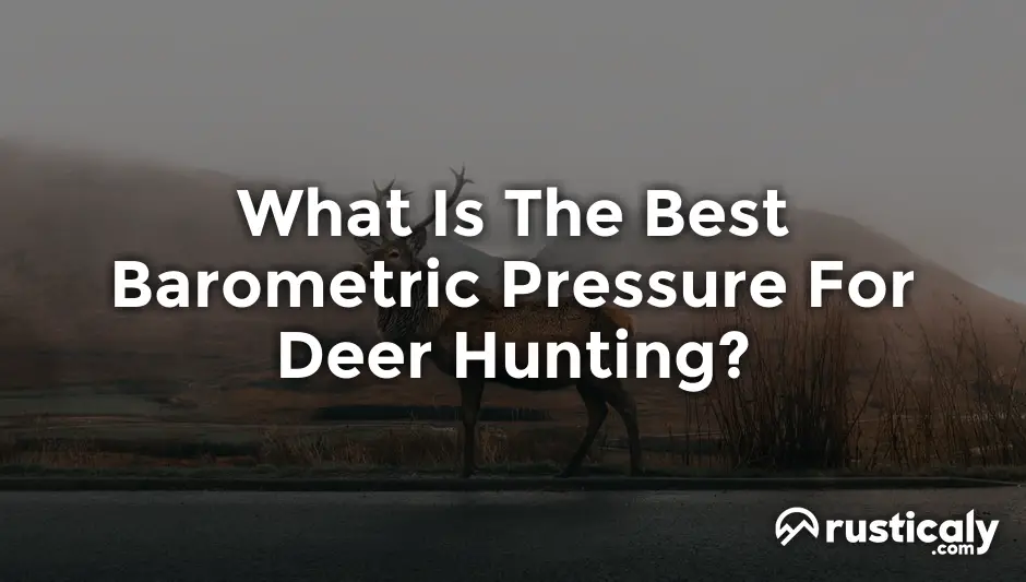 what is the best barometric pressure for deer hunting