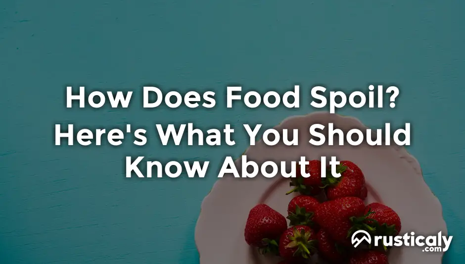 how does food spoil