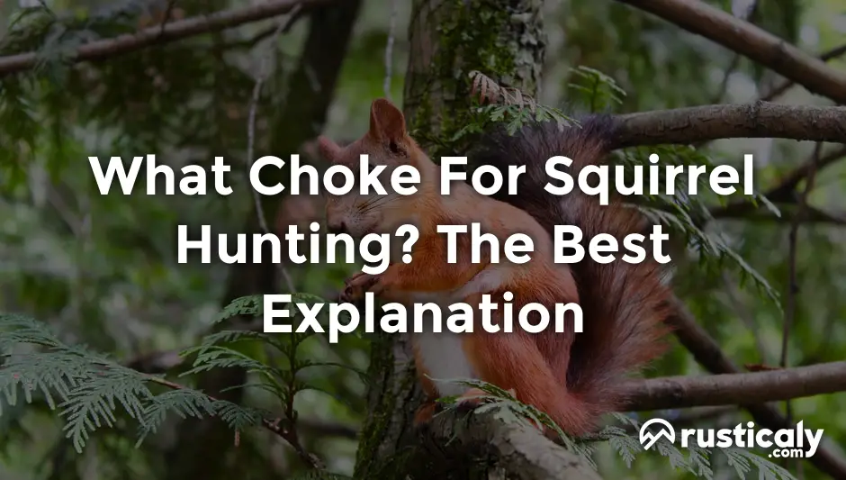 what choke for squirrel hunting