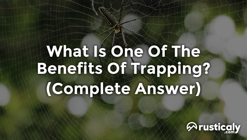 what is one of the benefits of trapping?