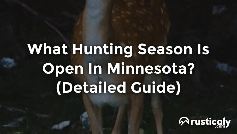what hunting season is open in minnesota