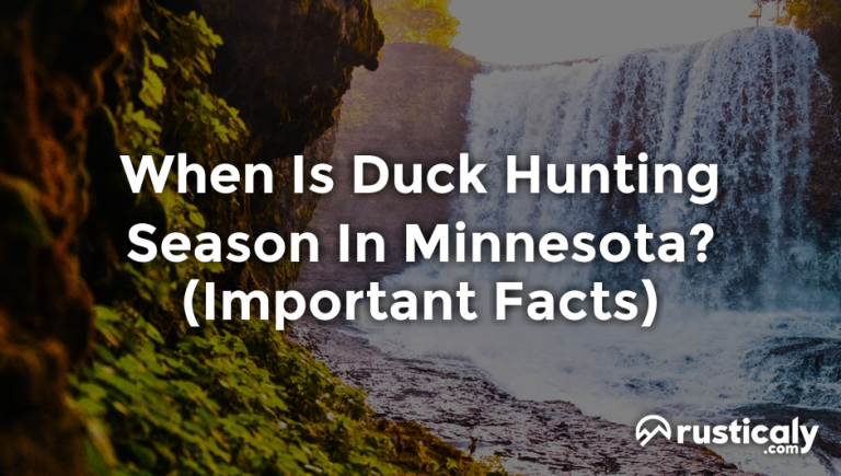 when is duck hunting season in minnesota