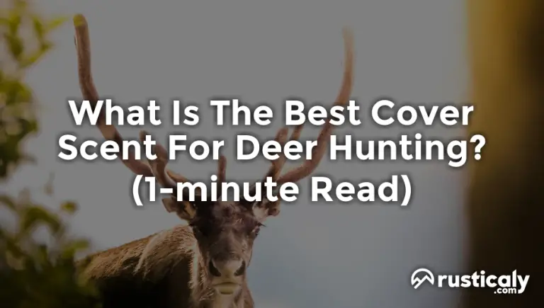 what is the best cover scent for deer hunting