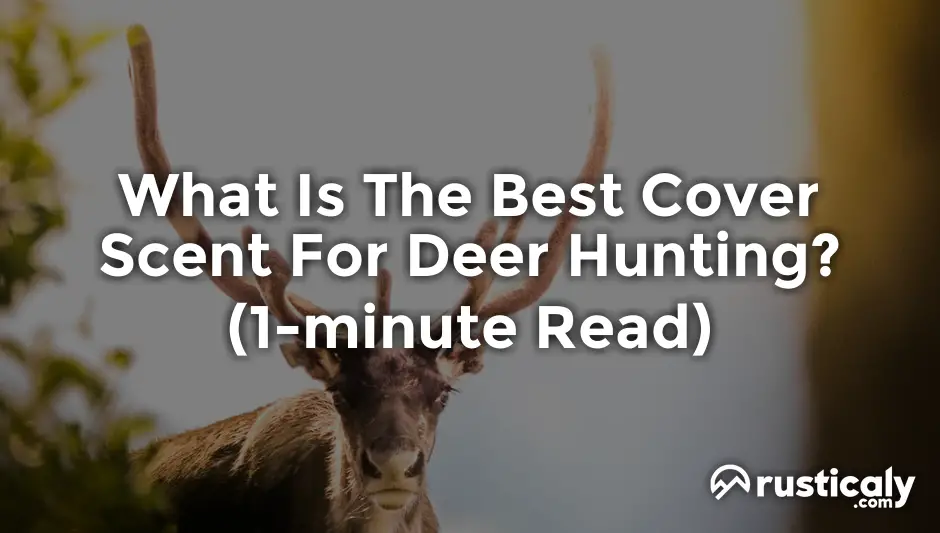 what is the best cover scent for deer hunting