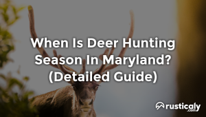 when is deer hunting season in maryland