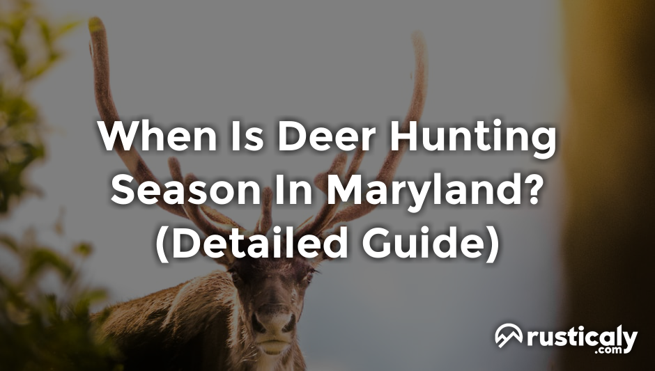 when is deer hunting season in maryland