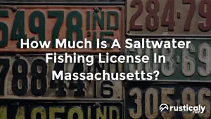 how much is a saltwater fishing license in massachusetts