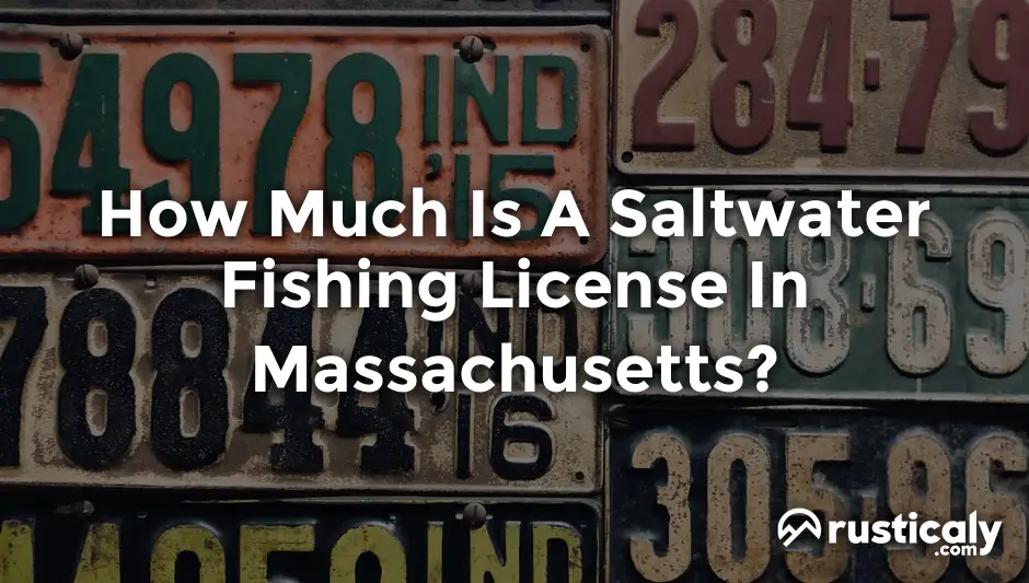 how much is a saltwater fishing license in massachusetts