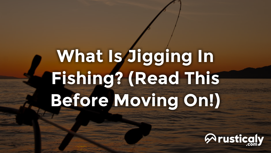 what is jigging in fishing