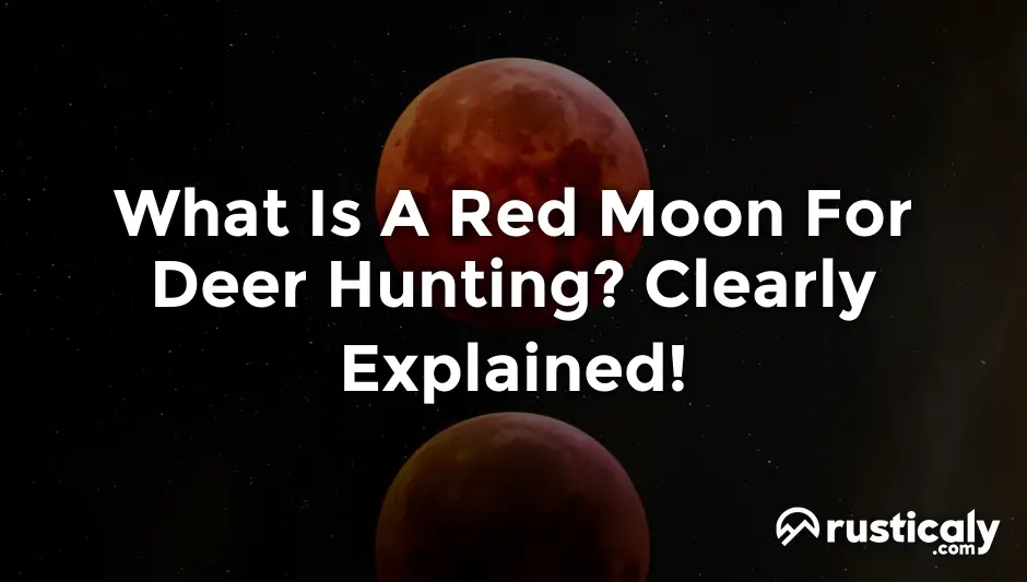 What Is A Red Moon For Deer Hunting? Finally Understand!