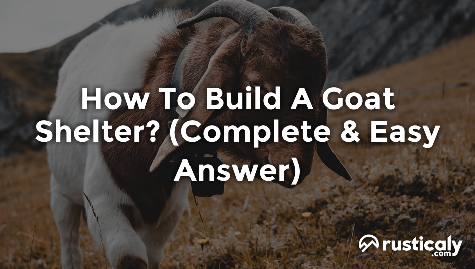 how to build a goat shelter