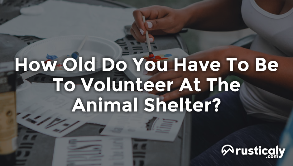 how old do you have to be to volunteer at the animal shelter