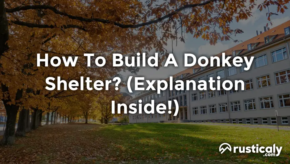 how to build a donkey shelter