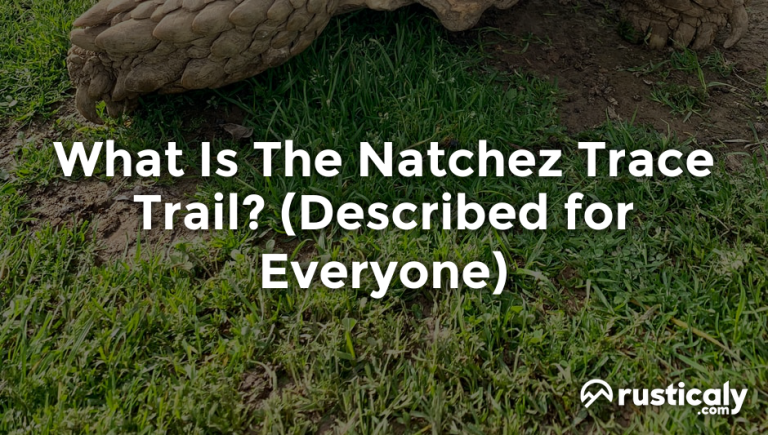 what is the natchez trace trail