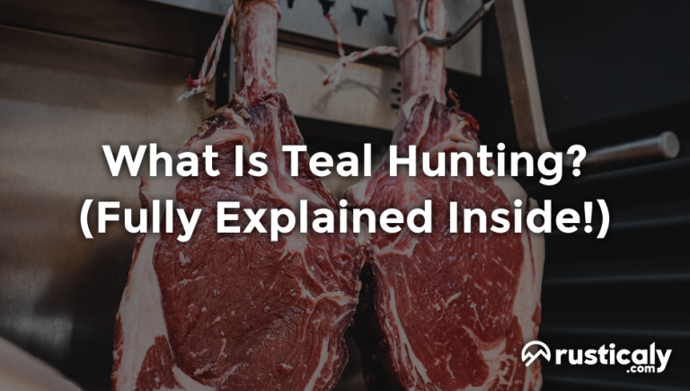 what is teal hunting