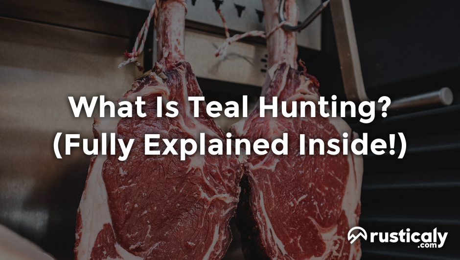what is teal hunting