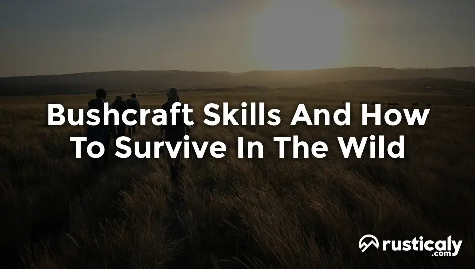 bushcraft skills and how to survive in the wild