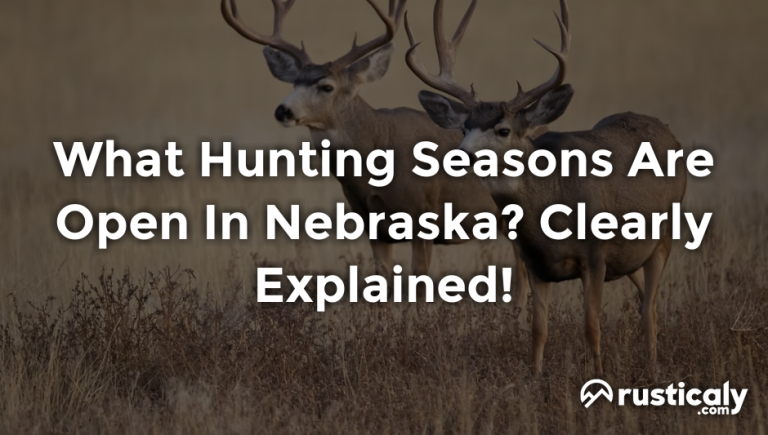 what hunting seasons are open in nebraska?