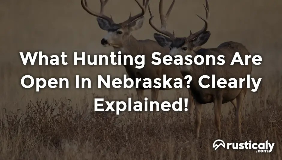 what hunting seasons are open in nebraska?