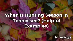 when is hunting season in tennessee
