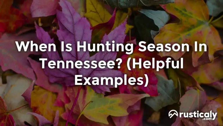 when is hunting season in tennessee