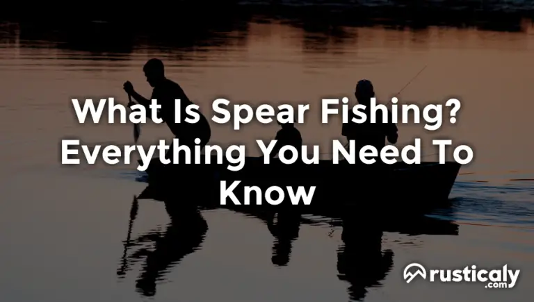 what is spear fishing