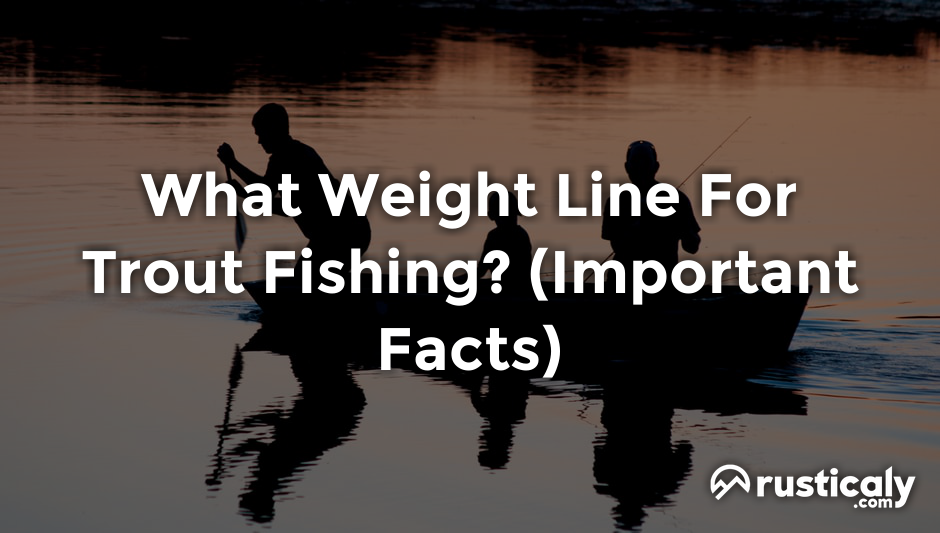 what weight line for trout fishing