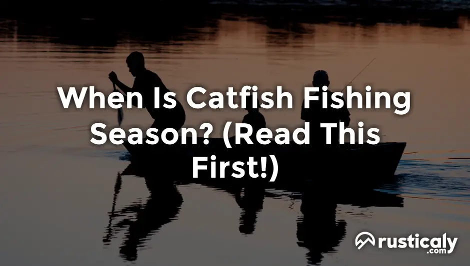 when is catfish fishing season