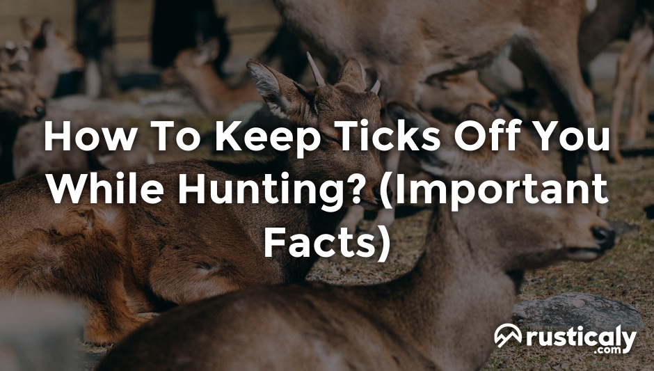 how to keep ticks off you while hunting