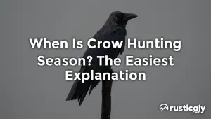 when is crow hunting season