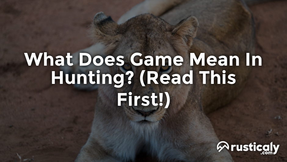 what does game mean in hunting