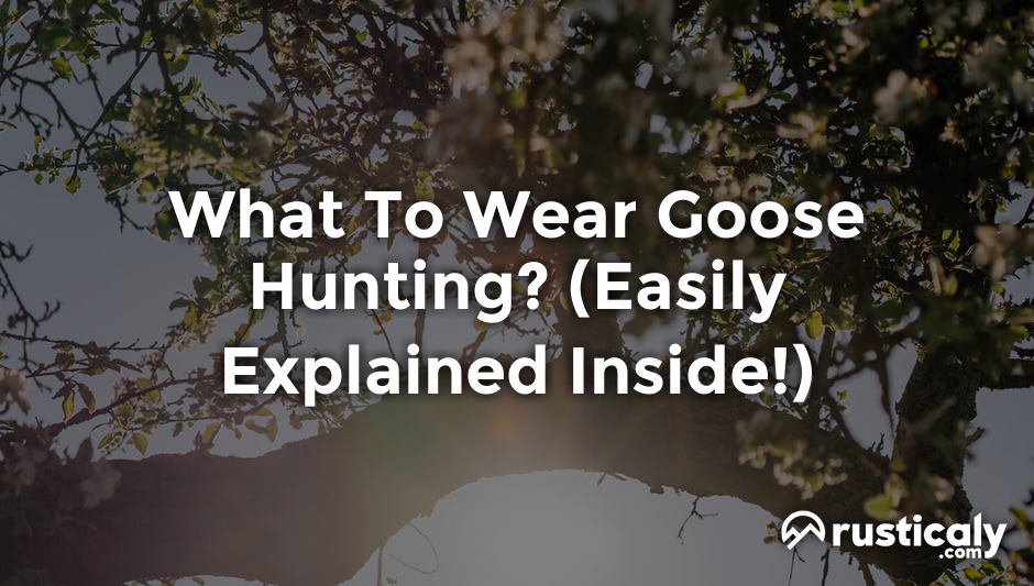 what to wear goose hunting