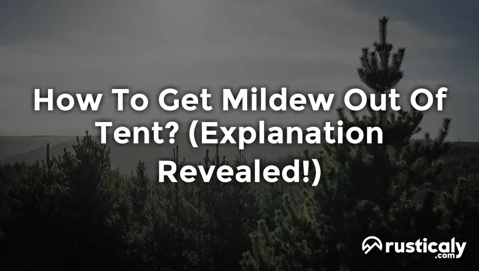 how to get mildew out of tent
