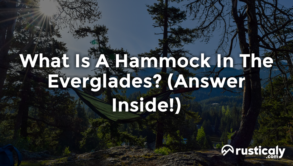 what is a hammock in the everglades