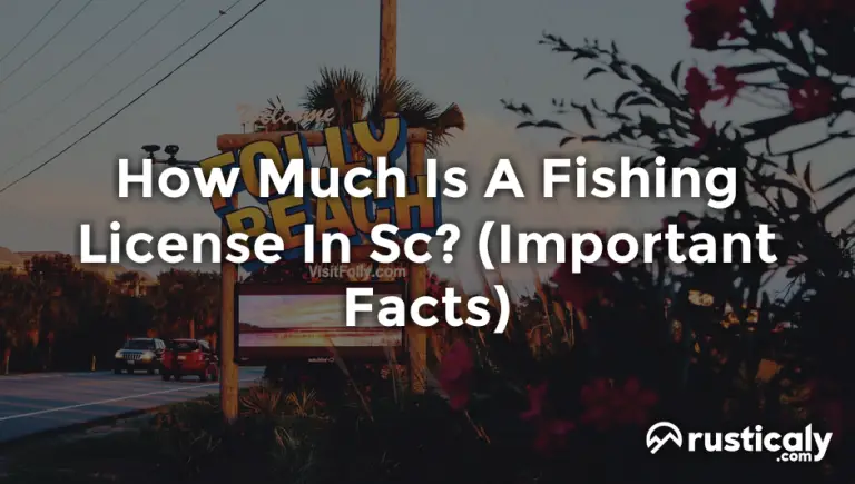 how much is a fishing license in sc